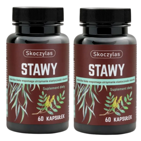 Skoczylas Stawy – naturalny suplement diety z kadzidłowcem, wierzbą, ashwagandhą i sosną, wspomagający kondycję stawów i kości, 60 kapsułek.