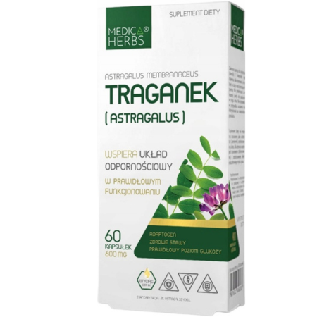 Traganek Astragalus 600 mg 60 kapsułek Medica Herbs – adaptogen wspierający odporność i energię