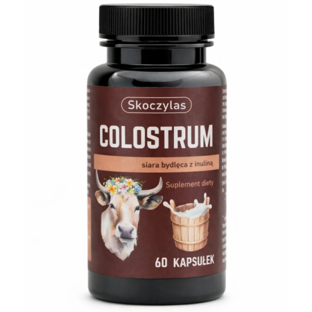 Skoczylas Colostrum siara bydlęca z inuliną 60 kapsułek – suplement diety wspierający odporność i mikroflorę jelitową, naturalna siara z IgG i prebiotyk z cykorii w kapsułkach roślinnych.