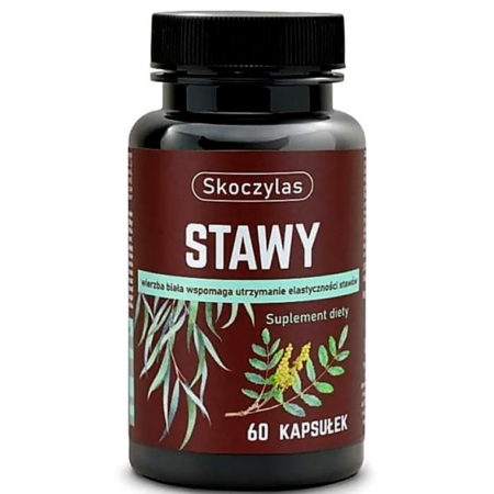 Skoczylas Stawy – naturalny suplement diety z kadzidłowcem, wierzbą, ashwagandhą i sosną, wspomagający kondycję stawów i kości, 60 kapsułek.